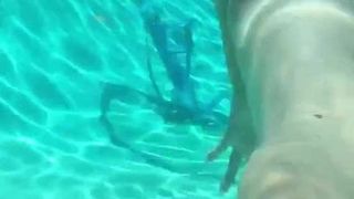 Brunette blowjob in poolside