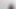 Pakistani Indian bengali slags tiktok