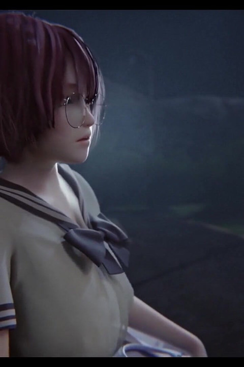 هونوكا الوايفو المثالي