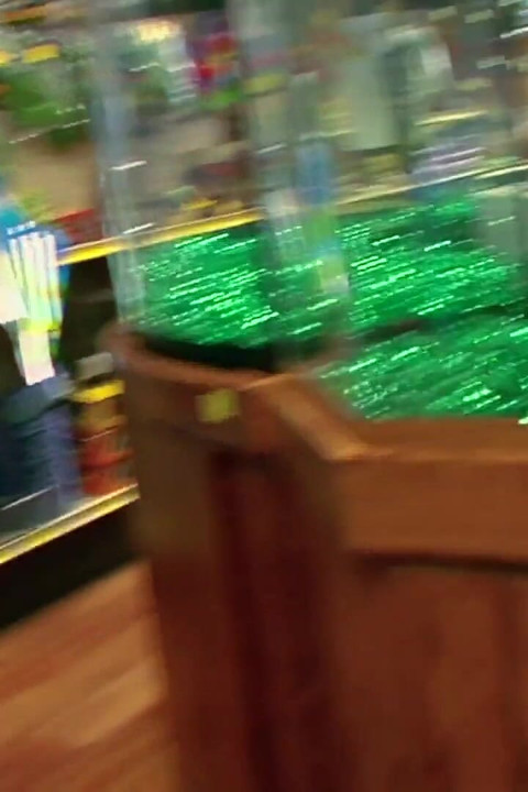 Amazing rack MILF fucks nice guy who buys hamster for stepson