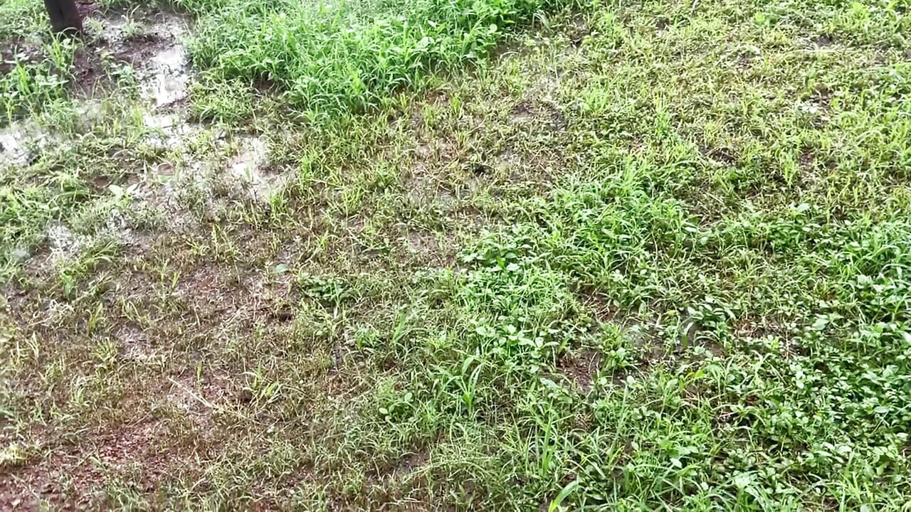 Desi girlfriend outside enjoy