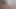 rubbing my pussy and cumming quickly on my dildo