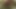 100ドル$おっぱい崇拝魅惑