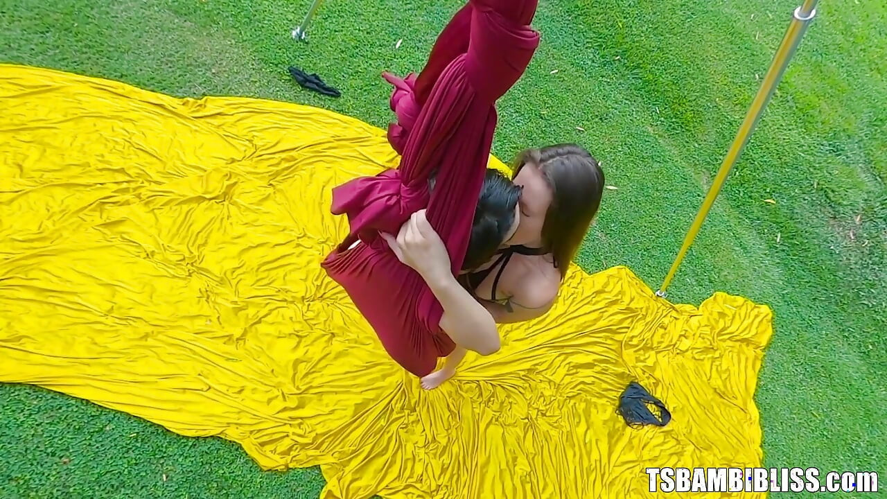Fucking on the Swing