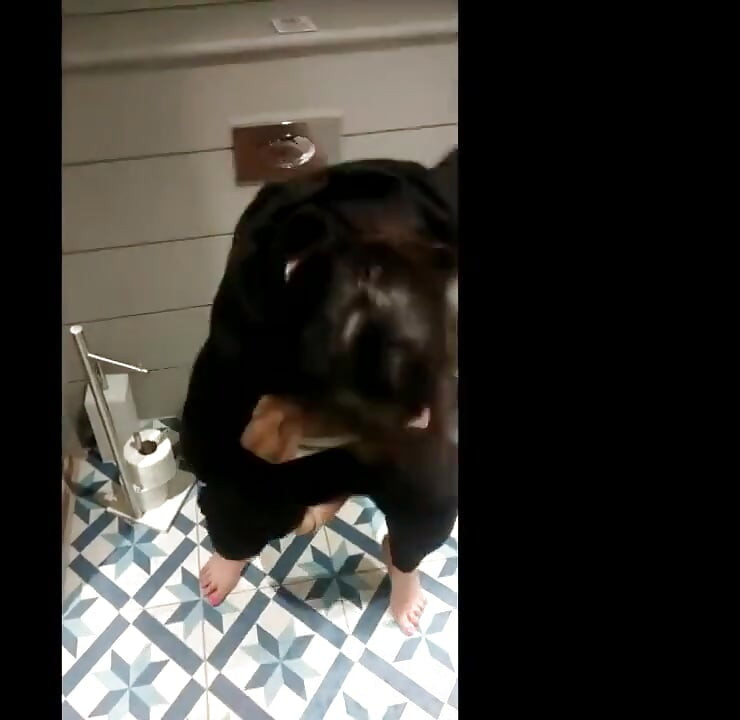 Kissa på toalettsits samlingsvideo