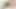 Blonde girl with big tits likes to lick her best friend’s pussy – Porn in Spanish