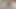 big and venezuelan penis, intense masturbation in , close-up, I'm your bitch, come break my ass, submissive