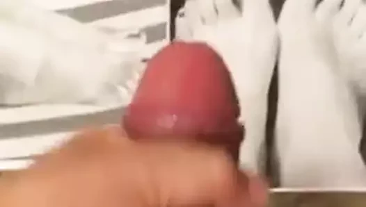 Tjf41 haraç