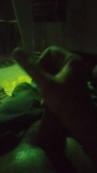 The best penas for women ass fuking