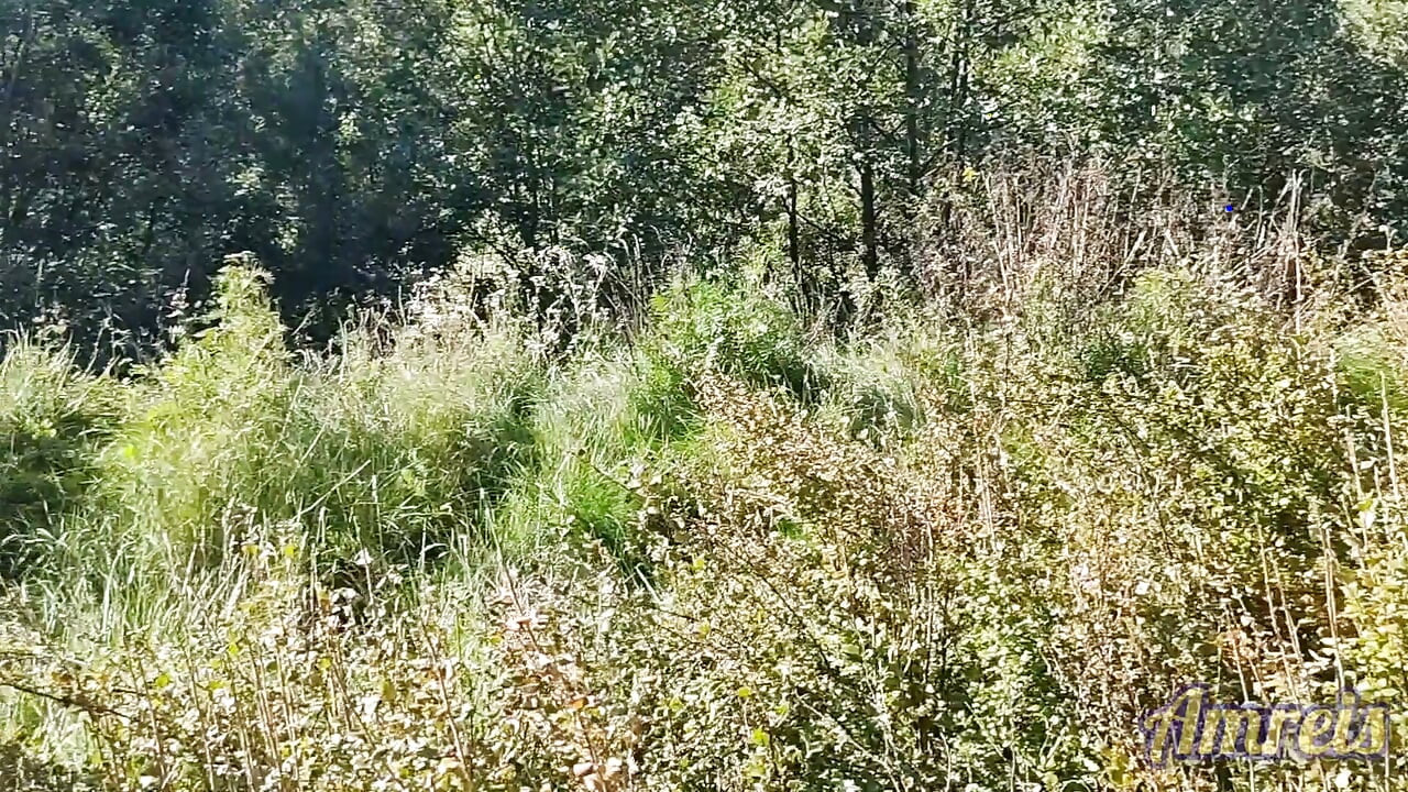 Jerking off in the woods near the highway. I almost got caught!