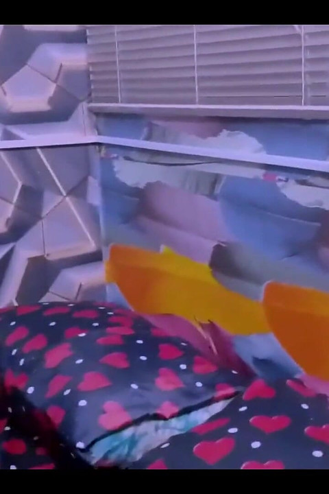 1st December - Happy Christmas to You All My Fans - Enjoy Sweet Sex From Your Hairy Pussy Queen - I Love Huge Dick