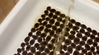 शॉवर में पेशाब