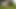 POV: 01 June 2024 Daddy Bears Have Fun Outdoors Part 2