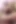 Mia Scene #58197 - Trans n Shemale