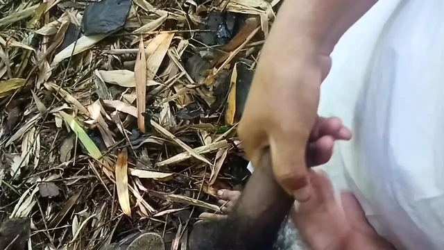 Jungle me kam jada save