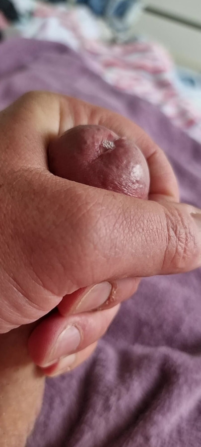 Gorgeous White Cock - wanking slowly