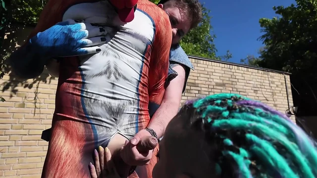Sneeky Fox Gets in Trouble!