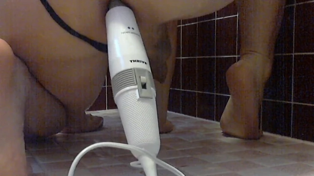 Anal toy