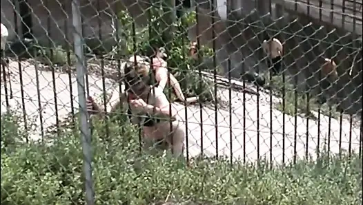 Шлюховатая волосатая милфа Inglese ищет большие члены, чтобы ее трахнули в парке