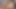 Tgirls xxx - mirage desire rekabetçi kıvrımlarıyla gösteriş yapıyor