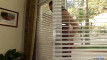 Pratinjau video