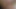 ボスがコンテストを仕組んだんだ:一番上手くフェラチオした者がボスのチンコをもらう