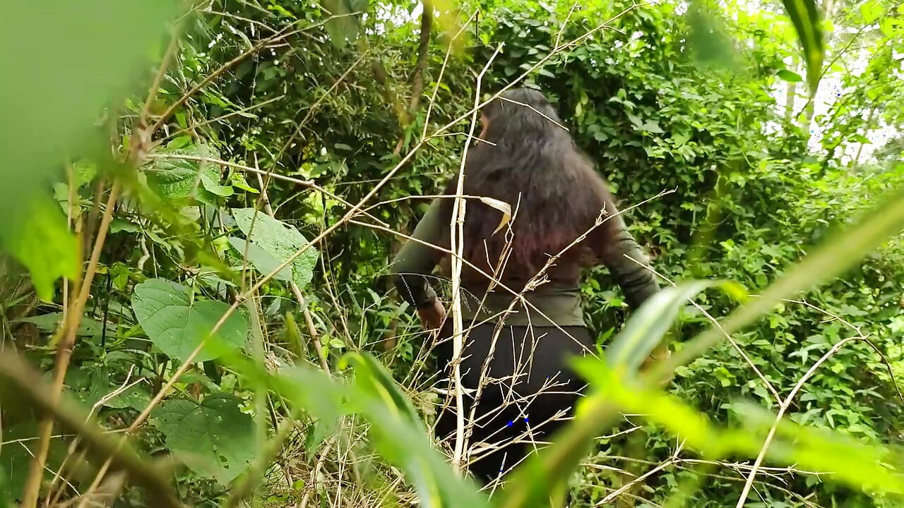 Indian Jungle Sex Video