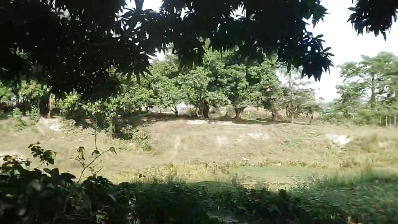 Panjabi Desi boy forest outdoor handjob