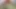 Hot Bhabhi Videos Desi Indian Full Open Full Open Sex