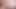 Muschi