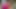 Blowjob with huge cumshot in close-up