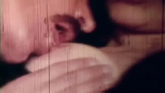 Vulgäres, Launisches Schwein