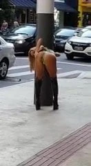 Loira exibicionista