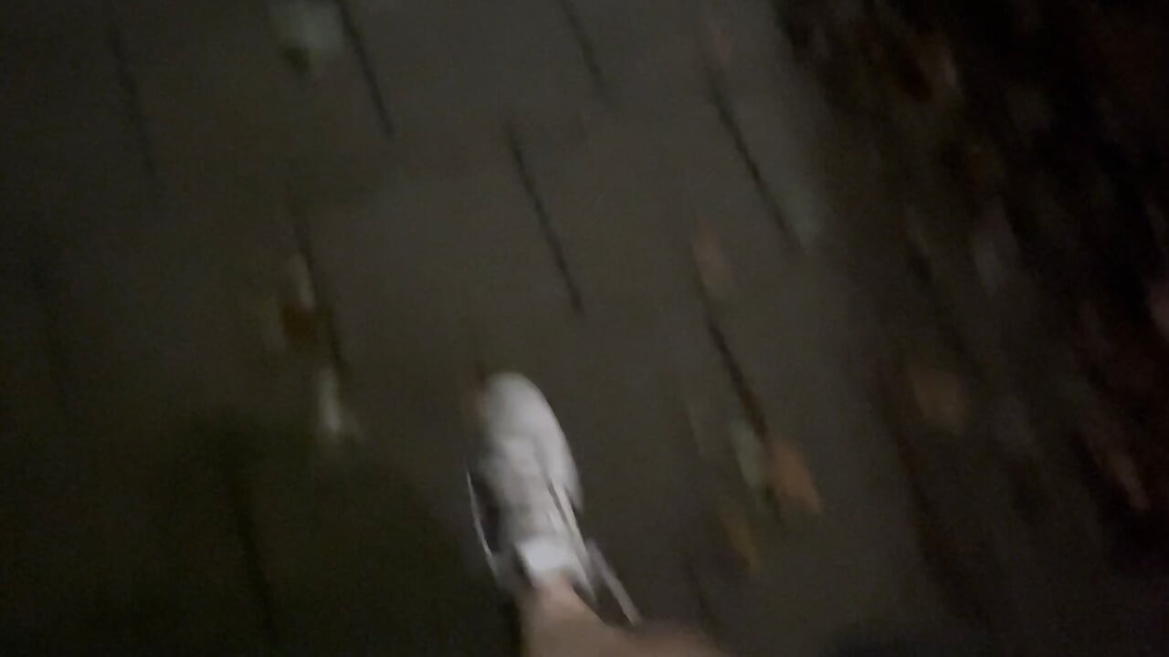 바지 없이 거리를 걷기