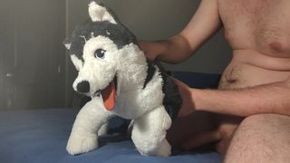 Disparando una carga en la cara de mi husky de peluche