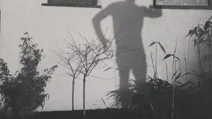 My Dance..