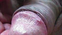 Extreme Cock And Asshole Close Up