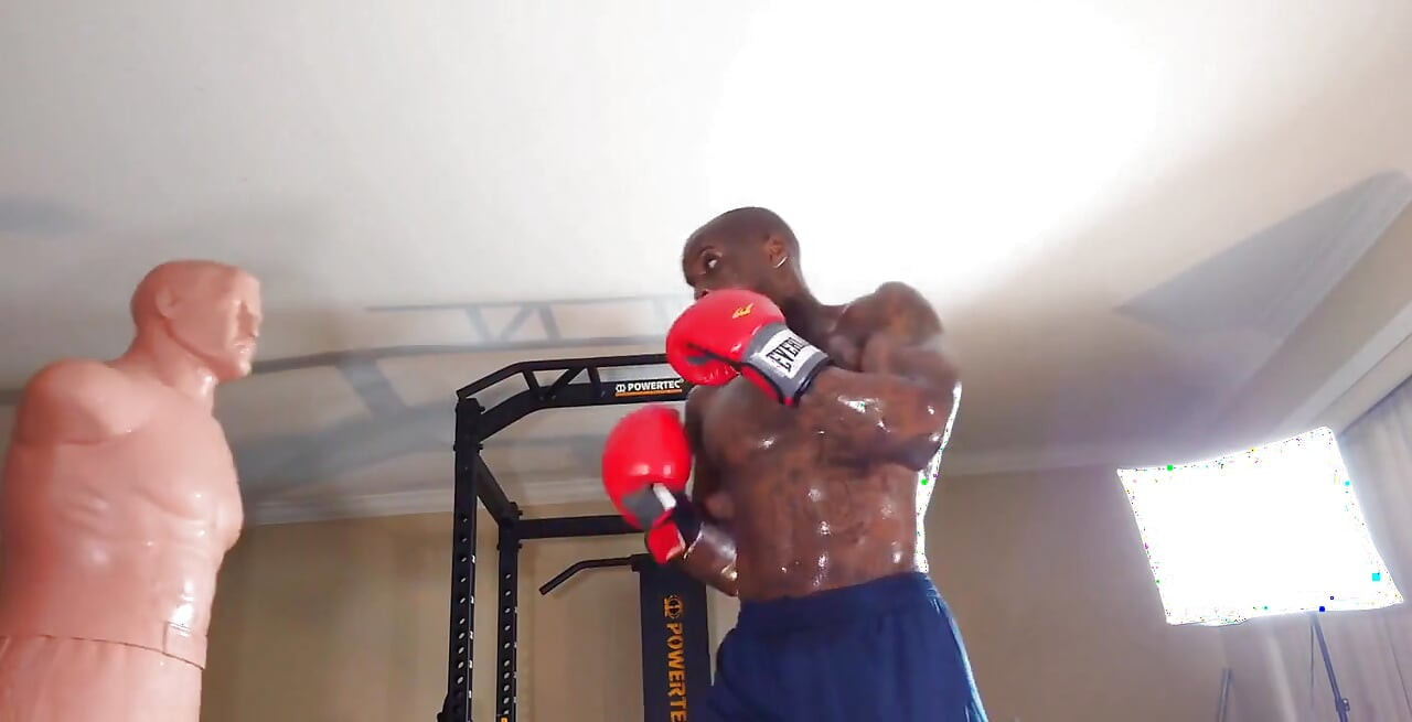 Boxing Workout the Core Is Defined by the Structures That Make up the Lumbo-pelvic-hip Complex (lphc) and Includes the Global an