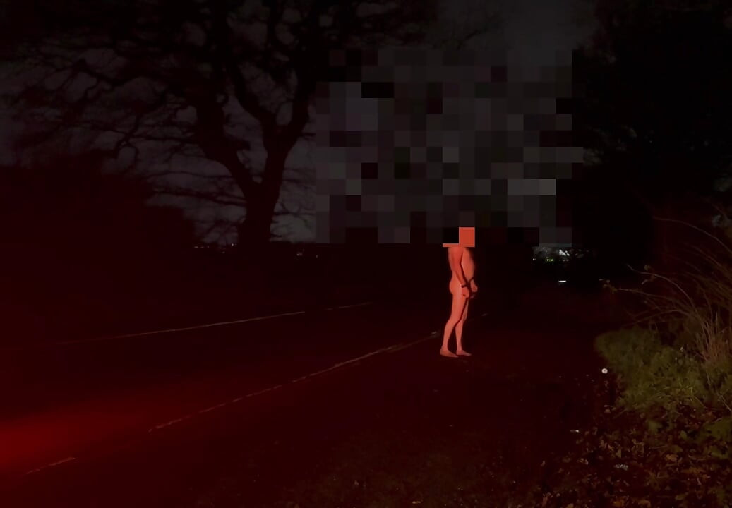 裸で道中でピクピクしている