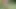 Huge cumshot on the river after a hot fuck with orgasm
