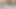 Only girls. Big Dig Manstubration Desi Big Penis Desi Sex Video Assam India local boy video