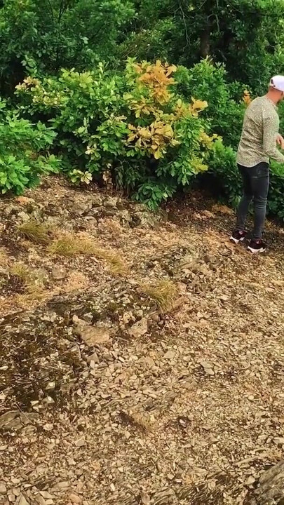 VIP4K. Ich habe ihr ein schönes angebot gemacht und sie im wald gefickt | Clip 2