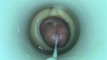 Pregled videozapisa