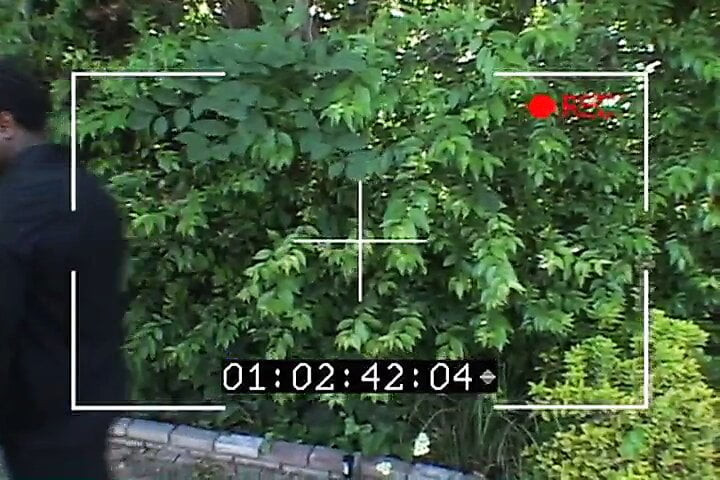 Teen Bionca Valentine has interracial anal sex outdoors