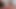 Gay Porn ( New Venyveras )