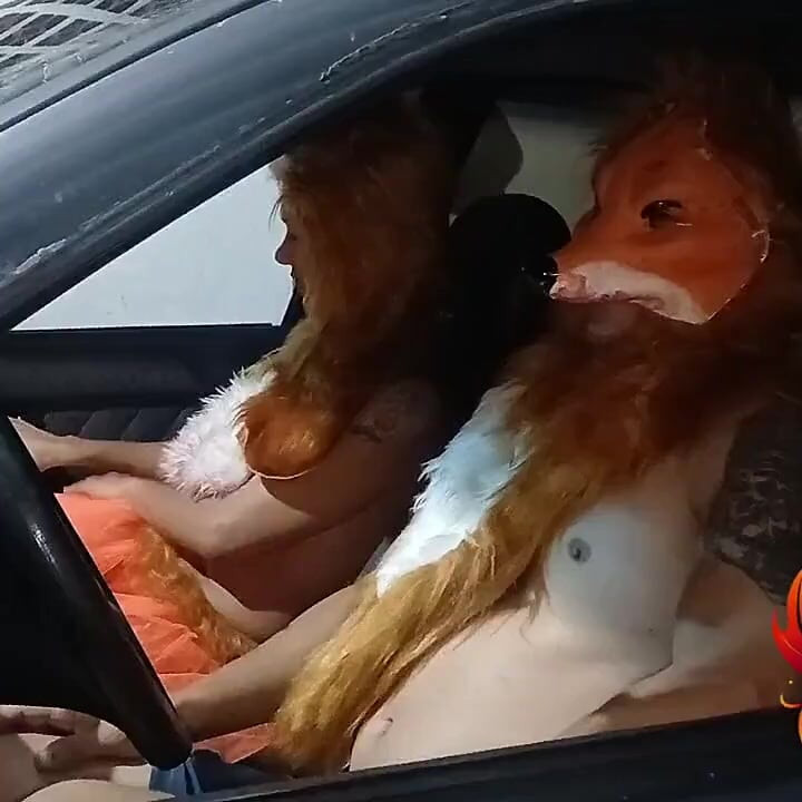 Tilki Tırmanışı