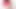 Cute Asian Hijab Trap Masturbation, Fast Cum.