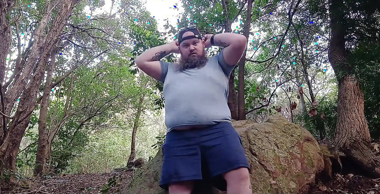 Oso en el bosque