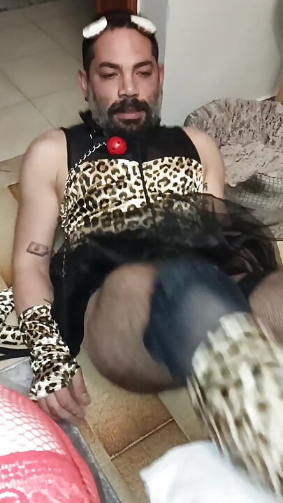 Fuck My Cat