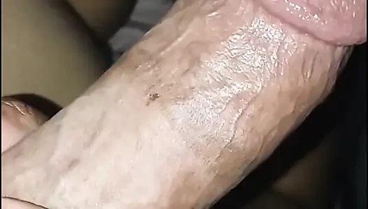 The Bonnet Edition!!